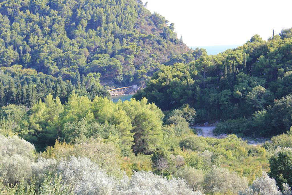 4M Apartments Petrovac Quarto foto